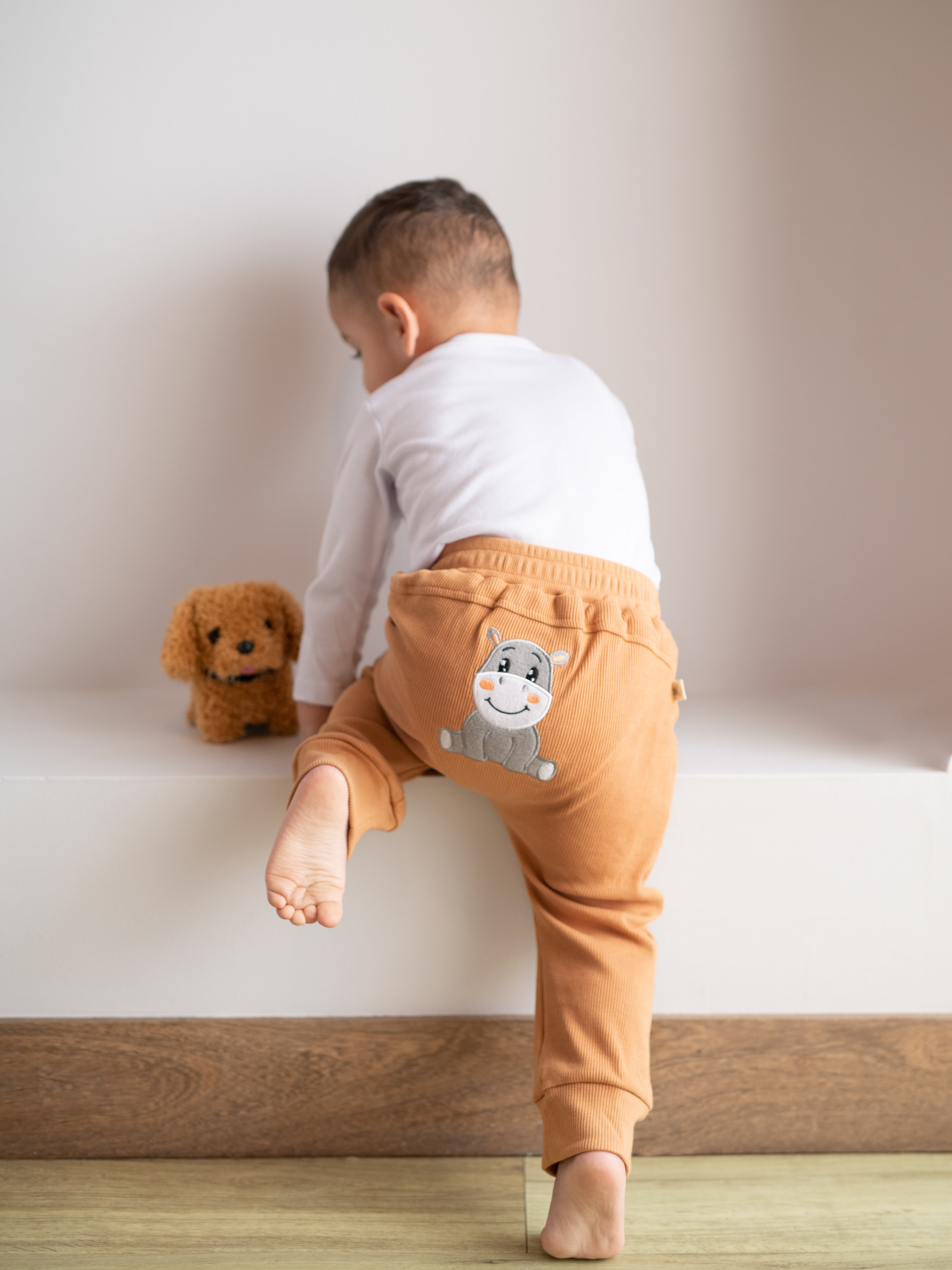 Jogger Hippo